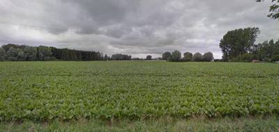 Terrain seul à Steenwerck en Nord (59) de 433 m² à vendre au prix de 115800€ - 1