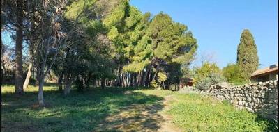 Terrain seul à Narbonne en Aude (11) de 345 m² à vendre au prix de 135900€ - 2