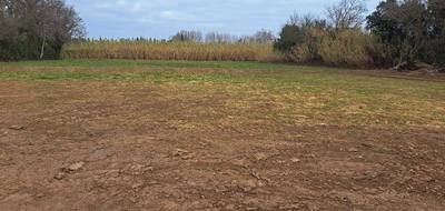 Terrain seul à Saint-Martin-de-Crau en Bouches-du-Rhône (13) de 890 m² à vendre au prix de 210000€ - 1