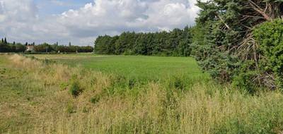 Terrain seul à Saint-Martin-de-Crau en Bouches-du-Rhône (13) de 830 m² à vendre au prix de 194900€ - 1