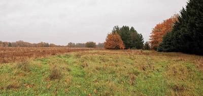 Programme terrain + maison à Loches en Indre-et-Loire (37) de 450 m² à vendre au prix de 221986€ - 3