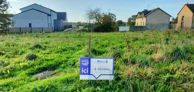 Programme terrain + maison à Gosné en Ille-et-Vilaine (35) de 320 m² à vendre au prix de 165064€ - 3