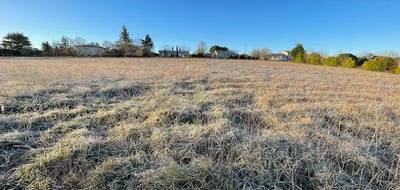 Terrain seul à Roquecor en Tarn-et-Garonne (82) de 2422 m² à vendre au prix de 36000€ - 1