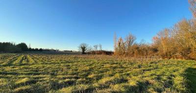 Terrain seul à Eyrans en Gironde (33) de 1000 m² à vendre au prix de 38000€ - 1