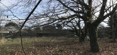 Terrain seul à Saint-Maixant en Gironde (33) de 1000 m² à vendre au prix de 85000€ - 1