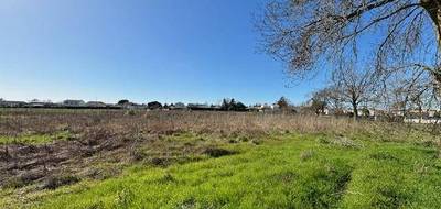 Terrain seul à Médis en Charente-Maritime (17) de 461 m² à vendre au prix de 85000€ - 2