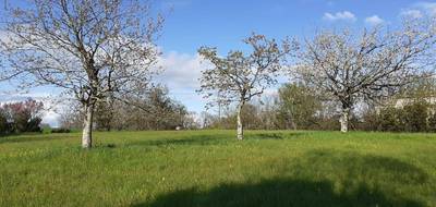 Terrain seul à Ribérac en Dordogne (24) de 1502 m² à vendre au prix de 16000€ - 1