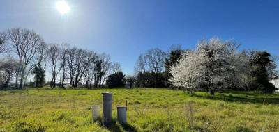 Terrain seul à Prignac-et-Marcamps en Gironde (33) de 710 m² à vendre au prix de 65000€ - 1