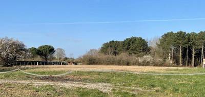 Terrain seul à Cars en Gironde (33) de 651 m² à vendre au prix de 25000€ - 1