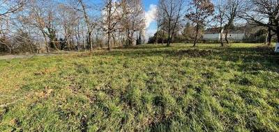 Terrain seul à Donzac en Tarn-et-Garonne (82) de 2400 m² à vendre au prix de 40000€ - 2