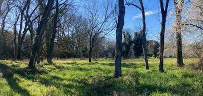 Terrain seul à Prignac-et-Marcamps en Gironde (33) de 710 m² à vendre au prix de 65000€ - 1