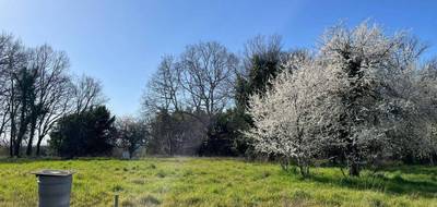 Terrain seul à Prignac-et-Marcamps en Gironde (33) de 710 m² à vendre au prix de 65000€ - 2