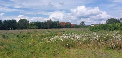 Terrain seul à Saint-Yaguen en Landes (40) de 605 m² à vendre au prix de 55900€ - 2