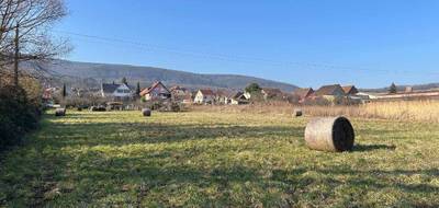 Terrain seul à Orschwihr en Haut-Rhin (68) de 416 m² à vendre au prix de 47600€ - 1