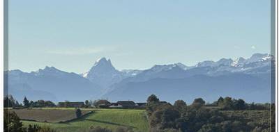 Terrain seul à Sauvagnon en Pyrénées-Atlantiques (64) de 1515 m² à vendre au prix de 77000€ - 1