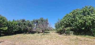Terrain seul à Monteils en Gard (30) de 1170 m² à vendre au prix de 120000€ - 3