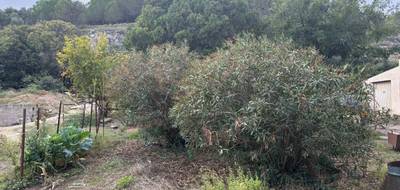 Terrain seul à Le Pouget en Hérault (34) de 700 m² à vendre au prix de 189000€ - 3