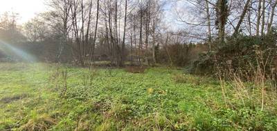 Terrain seul à Saint-Pierre-du-Lorouër en Sarthe (72) de 4595 m² à vendre au prix de 19500€ - 2