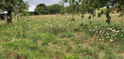 Terrain seul à Baugé-en-Anjou en Maine-et-Loire (49) de 1300 m² à vendre au prix de 54000€ - 2