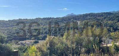 Terrain seul à Penta-di-Casinca en Haute-Corse (2B) de 782 m² à vendre au prix de 140000€ - 2