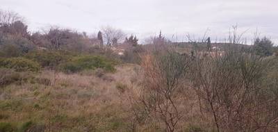 Terrain seul à Pignan en Hérault (34) de 338 m² à vendre au prix de 199000€ - 2