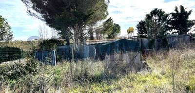 Terrain seul à Sérignan en Hérault (34) de 1000 m² à vendre au prix de 26000€ - 2