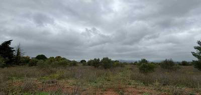 Terrain seul à Clermont-l'Hérault en Hérault (34) de 12476 m² à vendre au prix de 87000€ - 3