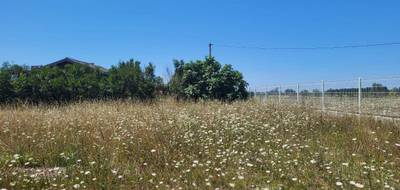 Terrain seul à Odars en Haute-Garonne (31) de 649 m² à vendre au prix de 175000€ - 2