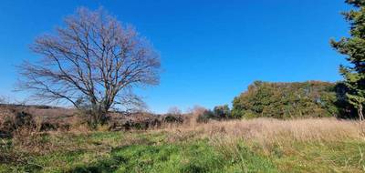 Terrain seul à Saint-Césaire-de-Gauzignan en Gard (30) de 1450 m² à vendre au prix de 103000€ - 4