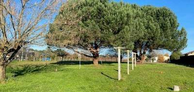 Terrain seul à Berson en Gironde (33) de 2390 m² à vendre au prix de 59800€ - 1