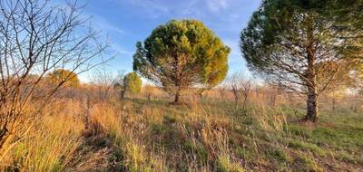 Terrain seul à Paulhan en Hérault (34) de 2150 m² à vendre au prix de 229950€ - 1