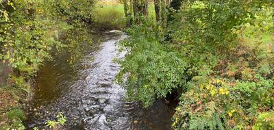 Terrain seul à Pluvigner en Morbihan (56) de 8745 m² à vendre au prix de 24000€ - 1