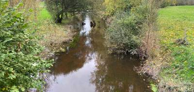 Terrain seul à Pluvigner en Morbihan (56) de 8745 m² à vendre au prix de 24000€ - 2