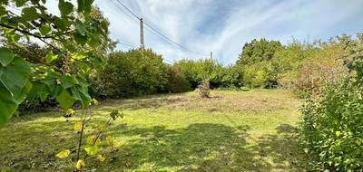 Terrain seul à Souppes-sur-Loing en Seine-et-Marne (77) de 1208 m² à vendre au prix de 99000€ - 3