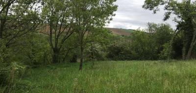 Terrain seul à Caignac en Haute-Garonne (31) de 1690 m² à vendre au prix de 96500€ - 2