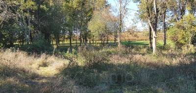 Terrain seul à Saint-Savin en Gironde (33) de 1248 m² à vendre au prix de 55000€ - 1