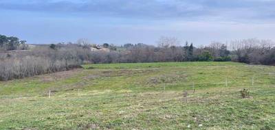 Terrain seul à Bassercles en Landes (40) de 1200 m² à vendre au prix de 17500€ - 3