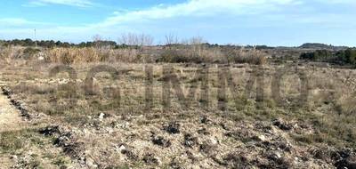 Terrain seul à Lespignan en Hérault (34) de 4175 m² à vendre au prix de 399000€ - 1