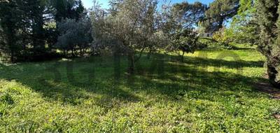 Terrain seul à Margon en Hérault (34) de 1235 m² à vendre au prix de 129000€ - 3