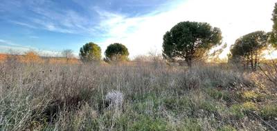 Terrain seul à Paulhan en Hérault (34) de 2150 m² à vendre au prix de 229950€ - 3