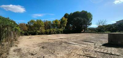 Terrain seul à Pézenas en Hérault (34) de 506 m² à vendre au prix de 168000€ - 1