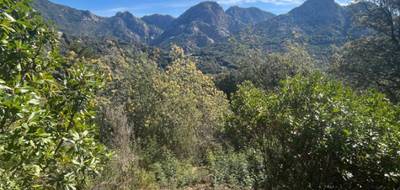 Terrain seul à Ocana en Corse-du-Sud (2A) de 3842 m² à vendre au prix de 135000€ - 2