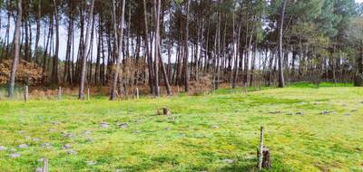 Terrain seul à Saint-Symphorien en Gironde (33) de 1025 m² à vendre au prix de 104500€ - 2