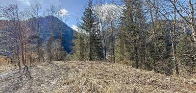 Terrain seul à Bellevaux en Haute-Savoie (74) de 1583 m² à vendre au prix de 169600€ - 3