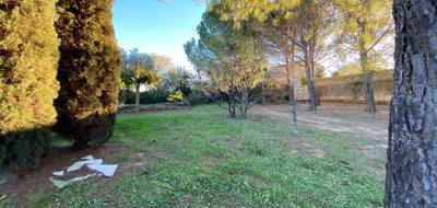 Terrain seul à Abeilhan en Hérault (34) de 1000 m² à vendre au prix de 149000€ - 2