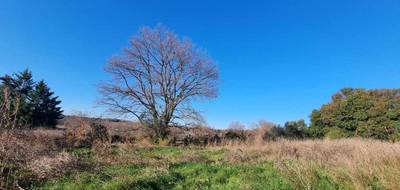 Terrain seul à Saint-Césaire-de-Gauzignan en Gard (30) de 1450 m² à vendre au prix de 103000€ - 2