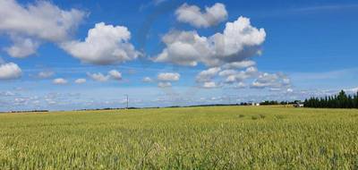 Terrain seul à Angliers en Vienne (86) de 1500 m² à vendre au prix de 19800€ - 1