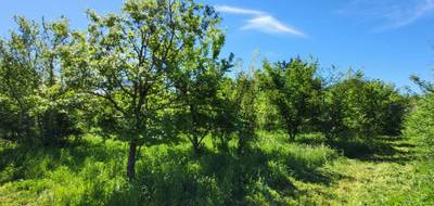 Terrain seul à Uzès en Gard (30) de 1361 m² à vendre au prix de 148000€ - 3