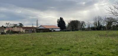 Terrain seul à Amou en Landes (40) de 1708 m² à vendre au prix de 27500€ - 1