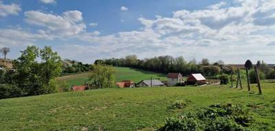 Terrain seul à Guise en Aisne (02) de 10000 m² à vendre au prix de 85000€ - 4